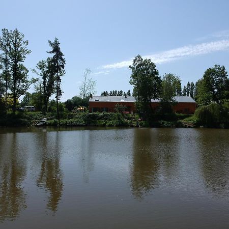 Florennes Gite Neuf 150 M2 Devant Un Grand Lac Prive De 2 Hectares Poissonneux Au Milieu Des Bois Экстерьер фото
