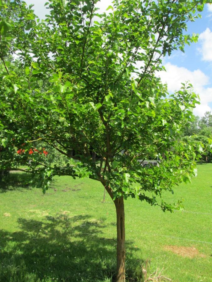 Florennes Gite Neuf 150 M2 Devant Un Grand Lac Prive De 2 Hectares Poissonneux Au Milieu Des Bois Экстерьер фото