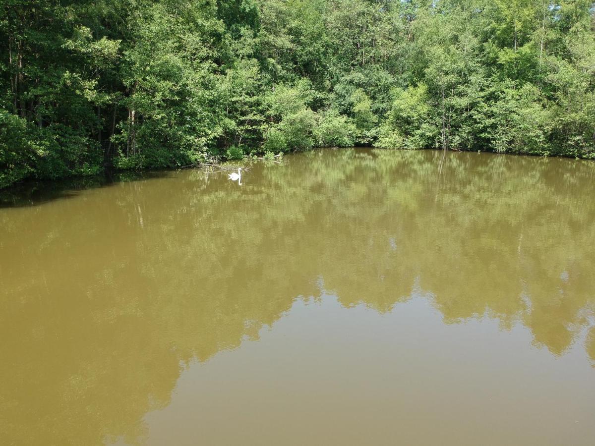 Florennes Gite Neuf 150 M2 Devant Un Grand Lac Prive De 2 Hectares Poissonneux Au Milieu Des Bois Экстерьер фото