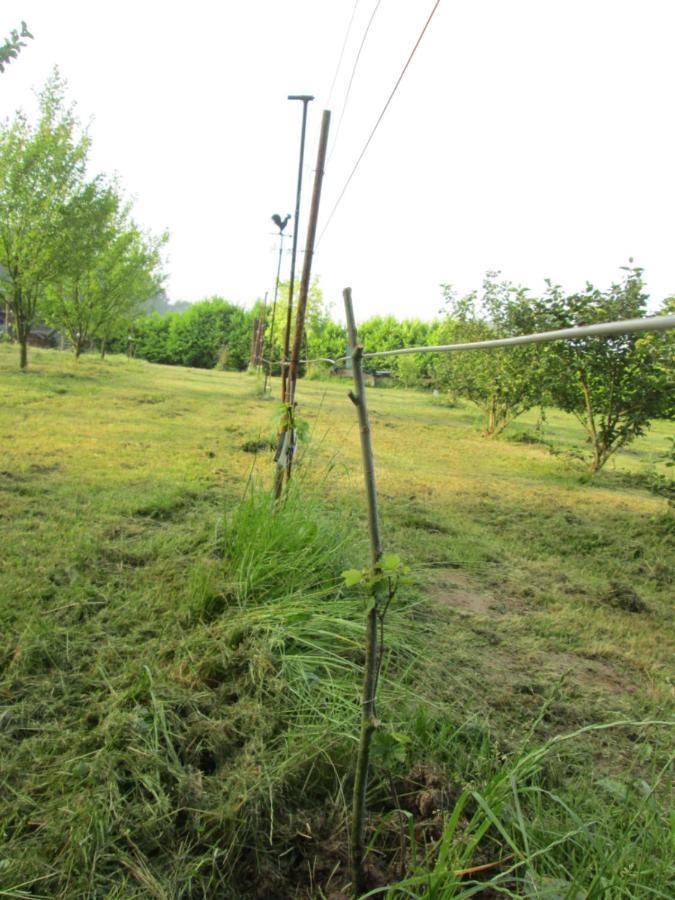 Florennes Gite Neuf 150 M2 Devant Un Grand Lac Prive De 2 Hectares Poissonneux Au Milieu Des Bois Экстерьер фото