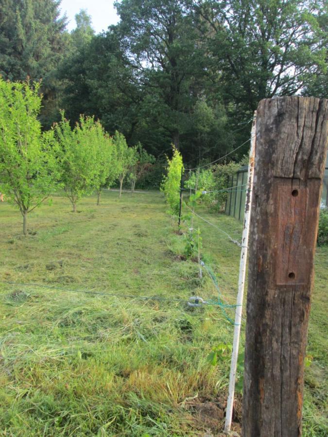 Florennes Gite Neuf 150 M2 Devant Un Grand Lac Prive De 2 Hectares Poissonneux Au Milieu Des Bois Экстерьер фото