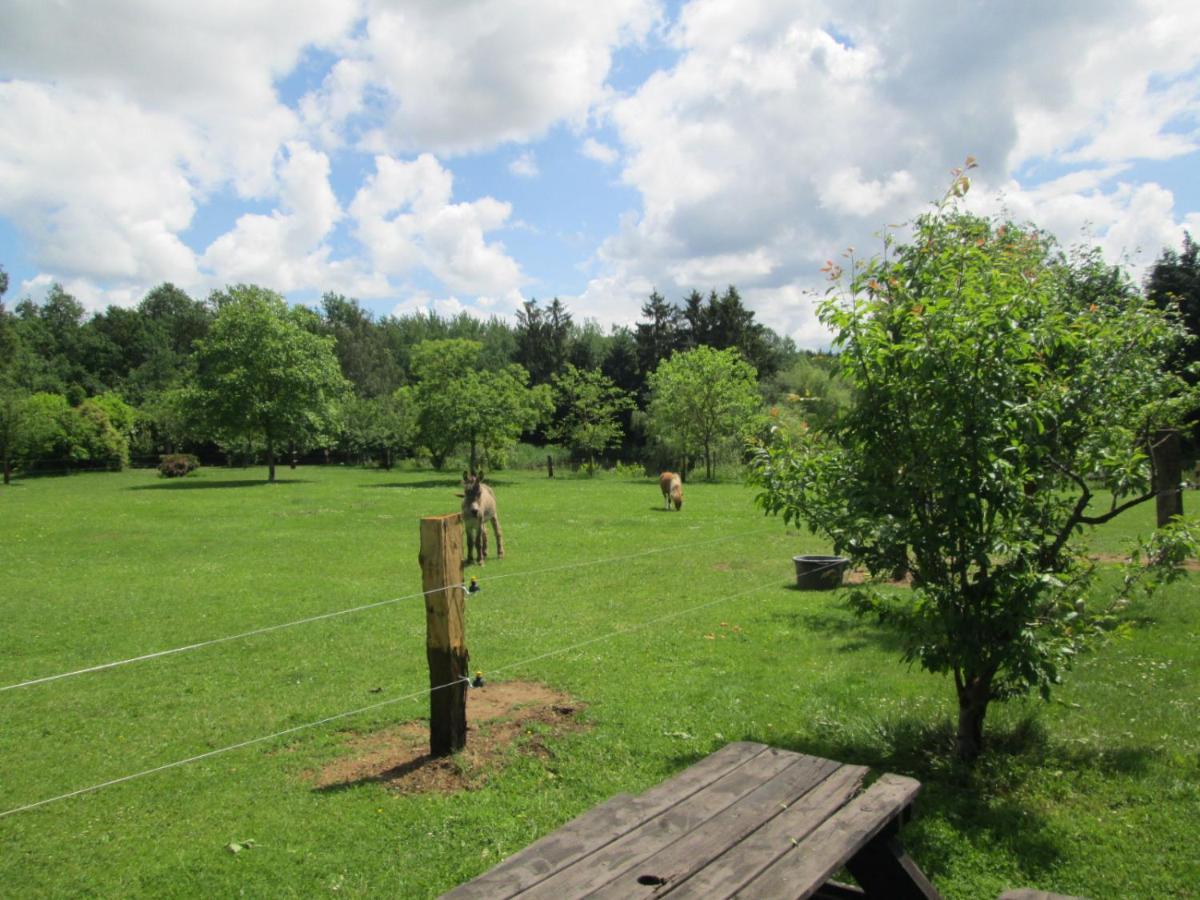 Florennes Gite Neuf 150 M2 Devant Un Grand Lac Prive De 2 Hectares Poissonneux Au Milieu Des Bois Экстерьер фото