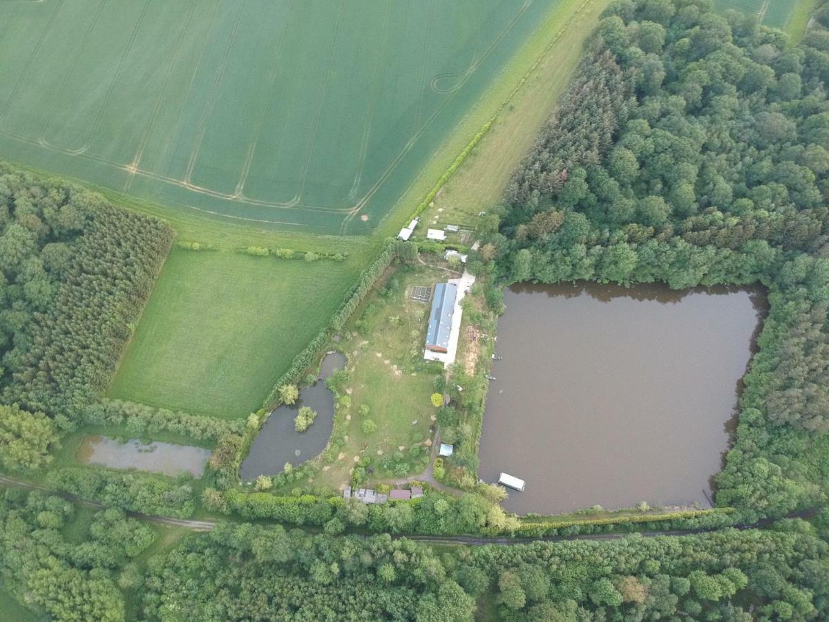 Florennes Gite Neuf 150 M2 Devant Un Grand Lac Prive De 2 Hectares Poissonneux Au Milieu Des Bois Экстерьер фото