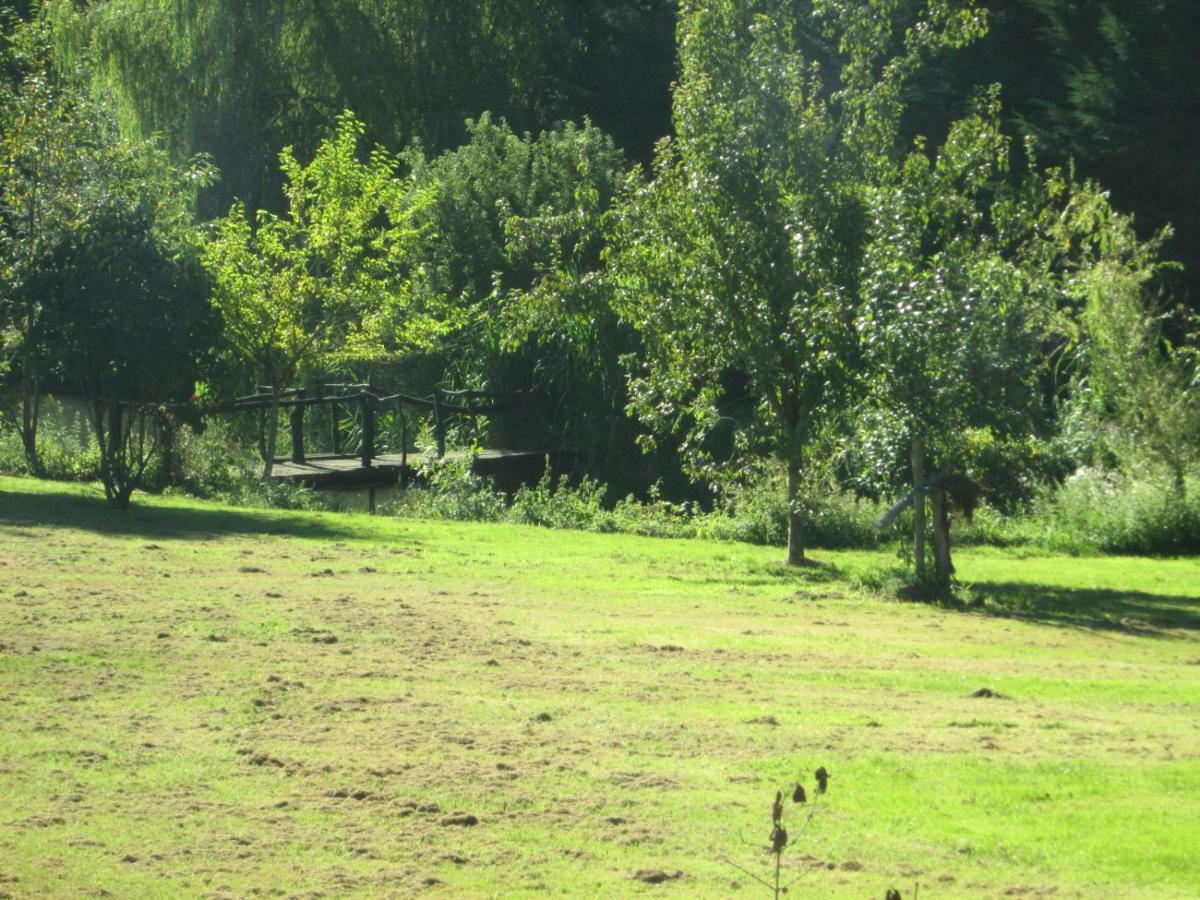 Florennes Gite Neuf 150 M2 Devant Un Grand Lac Prive De 2 Hectares Poissonneux Au Milieu Des Bois Экстерьер фото