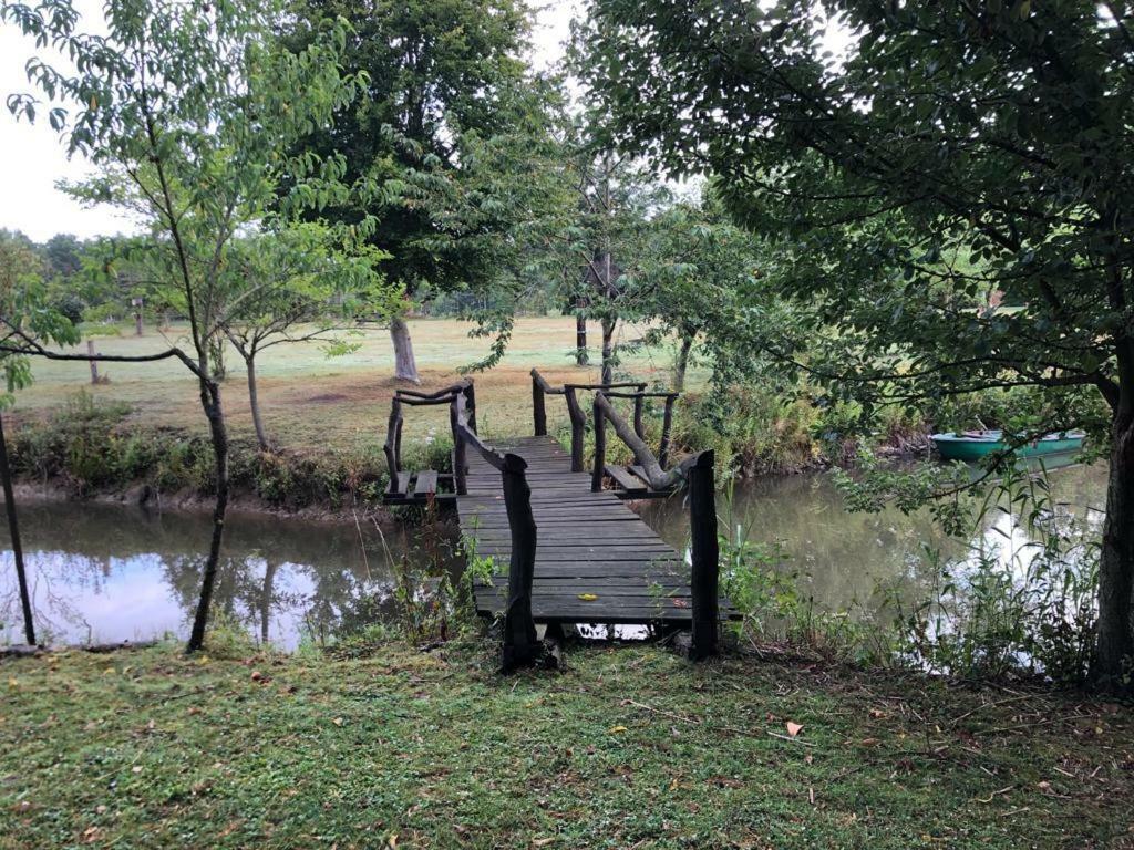 Florennes Gite Neuf 150 M2 Devant Un Grand Lac Prive De 2 Hectares Poissonneux Au Milieu Des Bois Экстерьер фото
