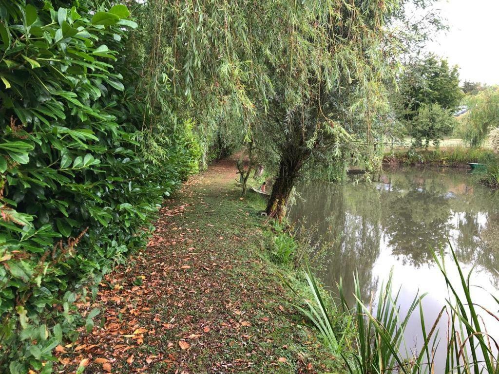 Florennes Gite Neuf 150 M2 Devant Un Grand Lac Prive De 2 Hectares Poissonneux Au Milieu Des Bois Экстерьер фото